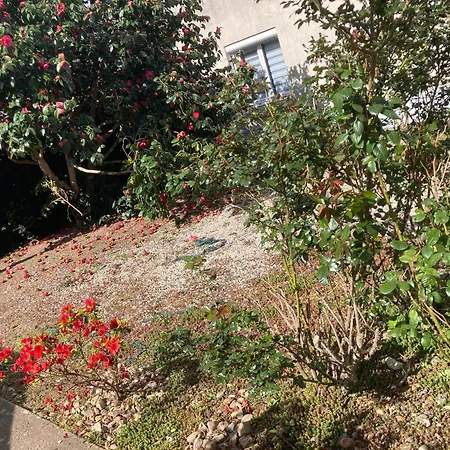 Comme Un Petit * Cholet