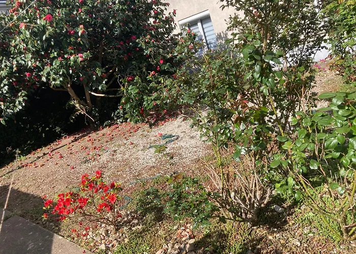 Comme Un Petit * Cholet